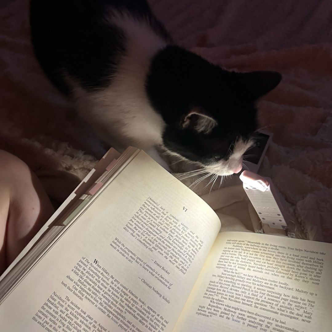 Nikki’s Bookshop