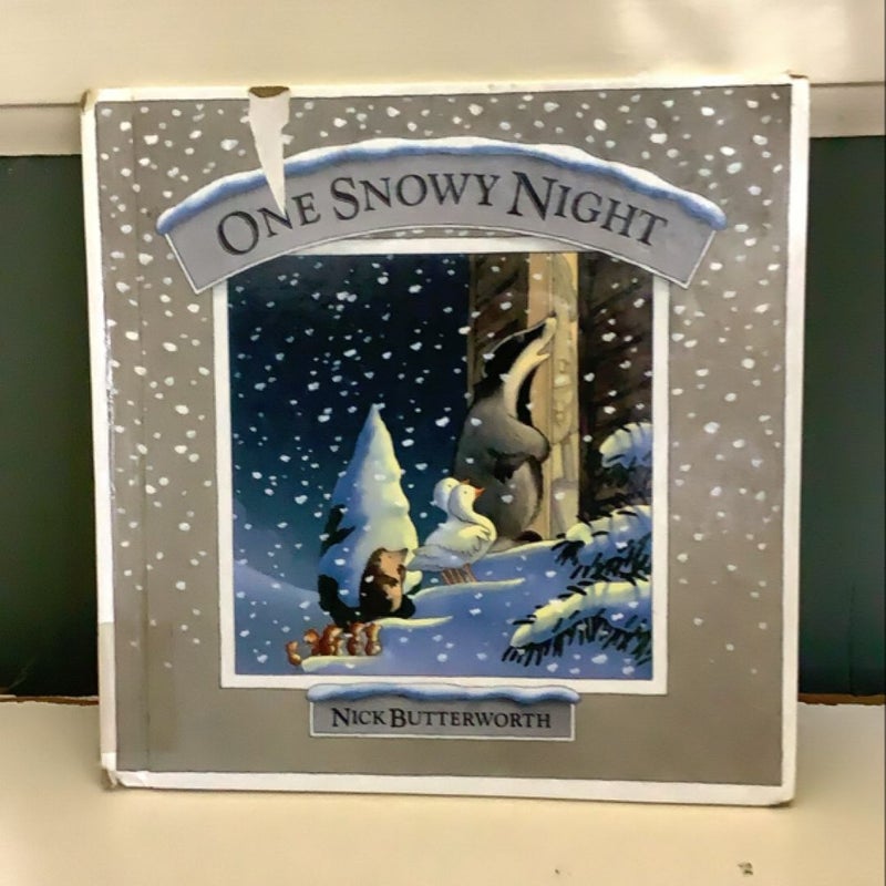 One Snowy Night