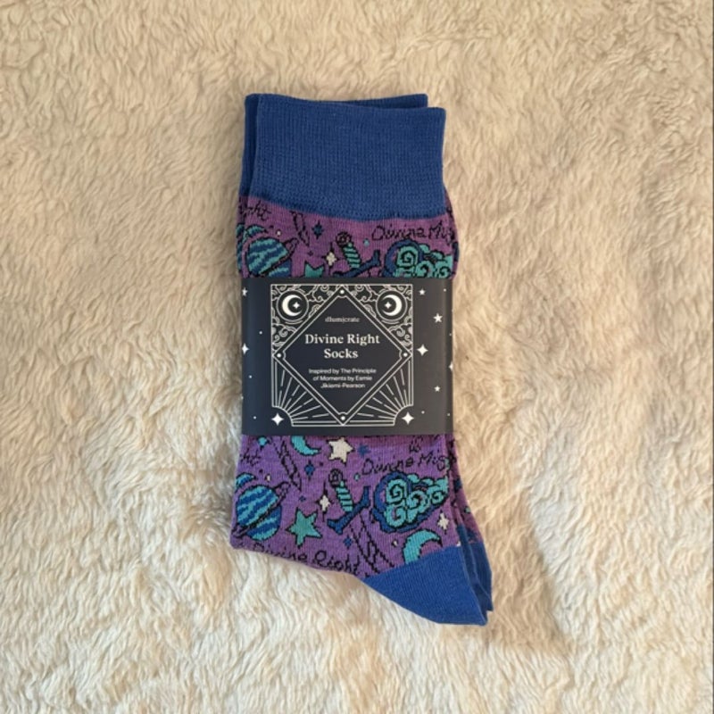 The Principle of Moments socks (FairyLoot exclusive)