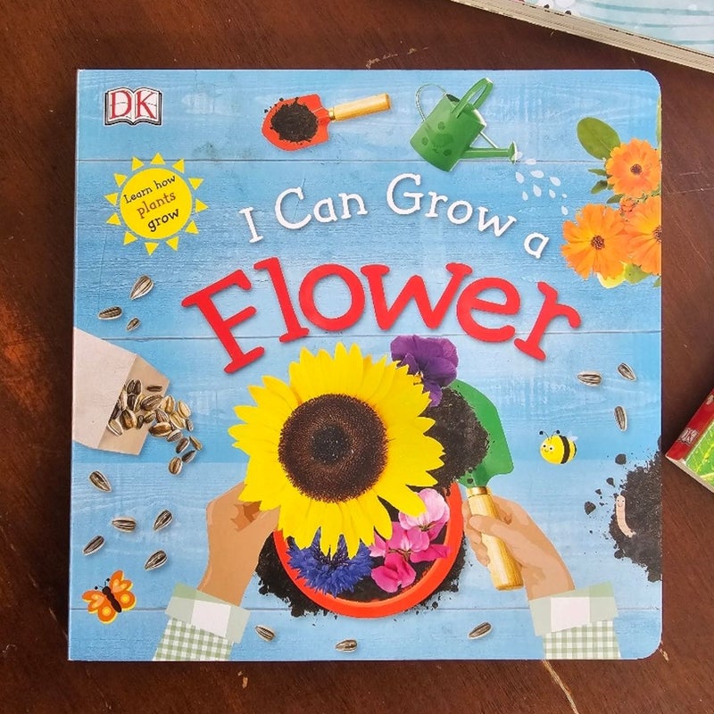 Growing Lift Flap Board Books by DK Set of 3