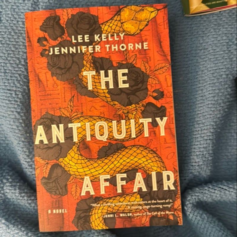 The Antiquity Affair