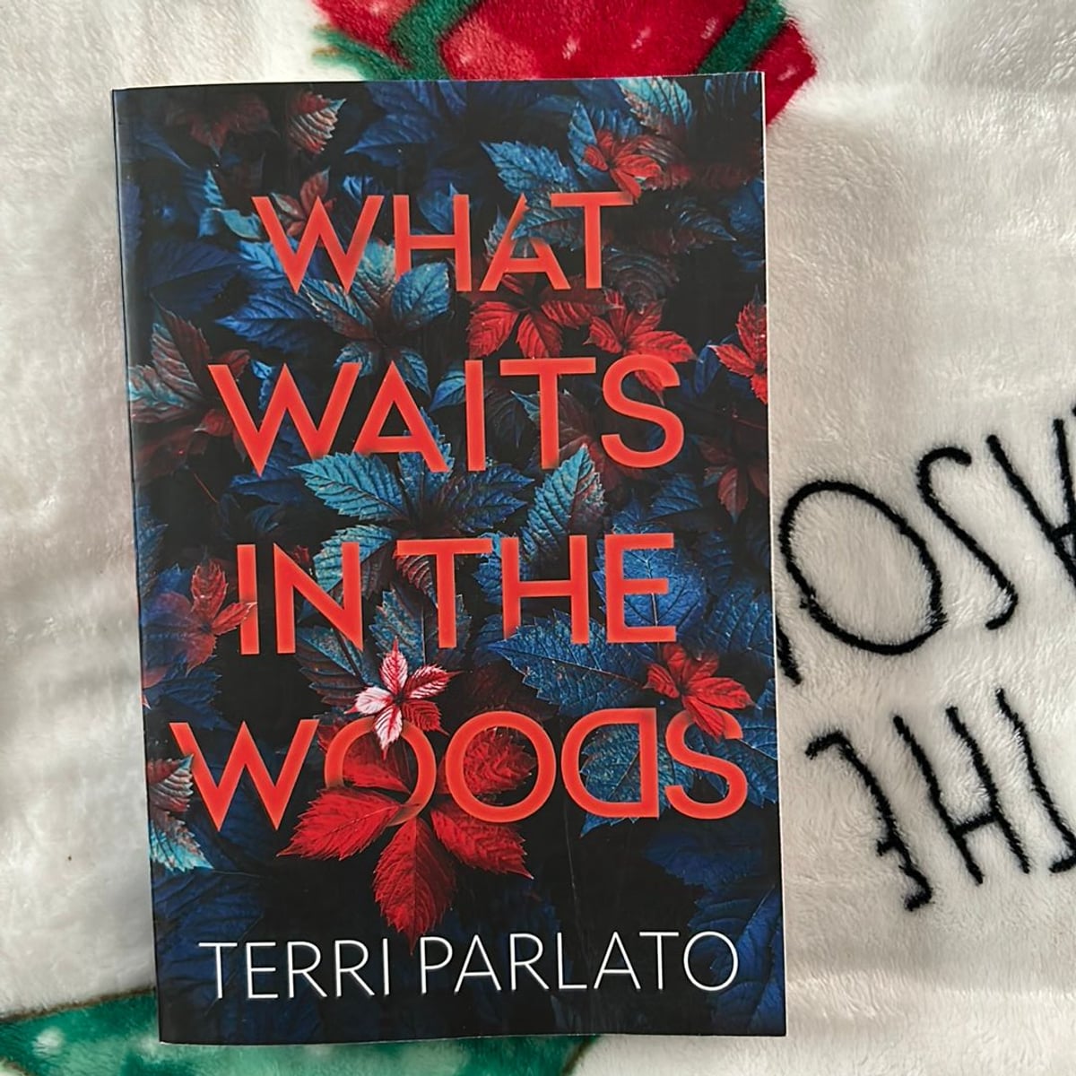 What Waits In the Woods by Terri Parlato, Paperback Pangobooks