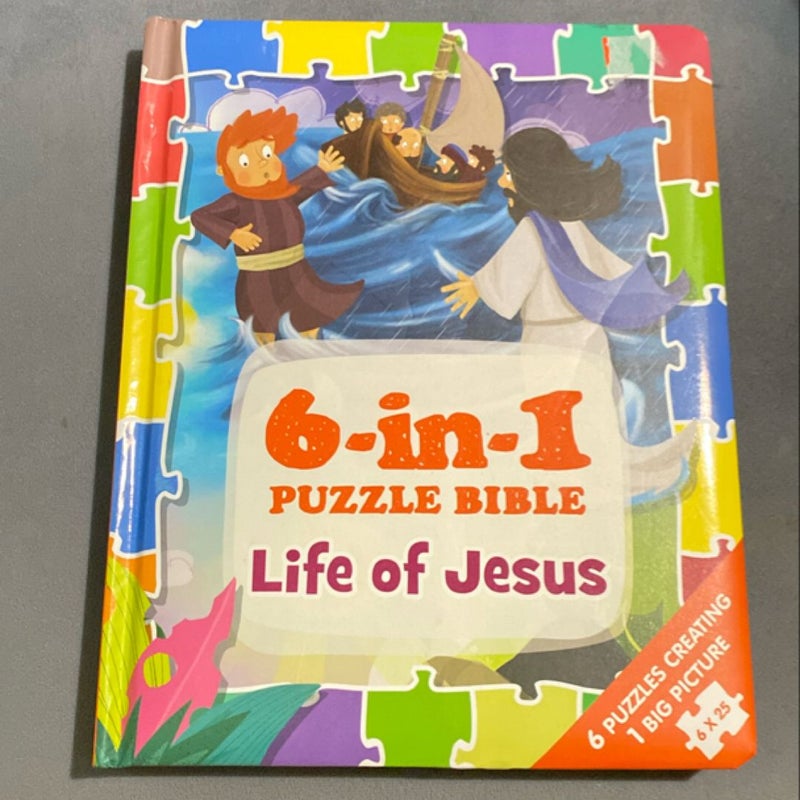 6-In-1 Puzzle Bible Life Of Jesus