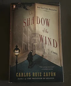 The Shadow of the Wind