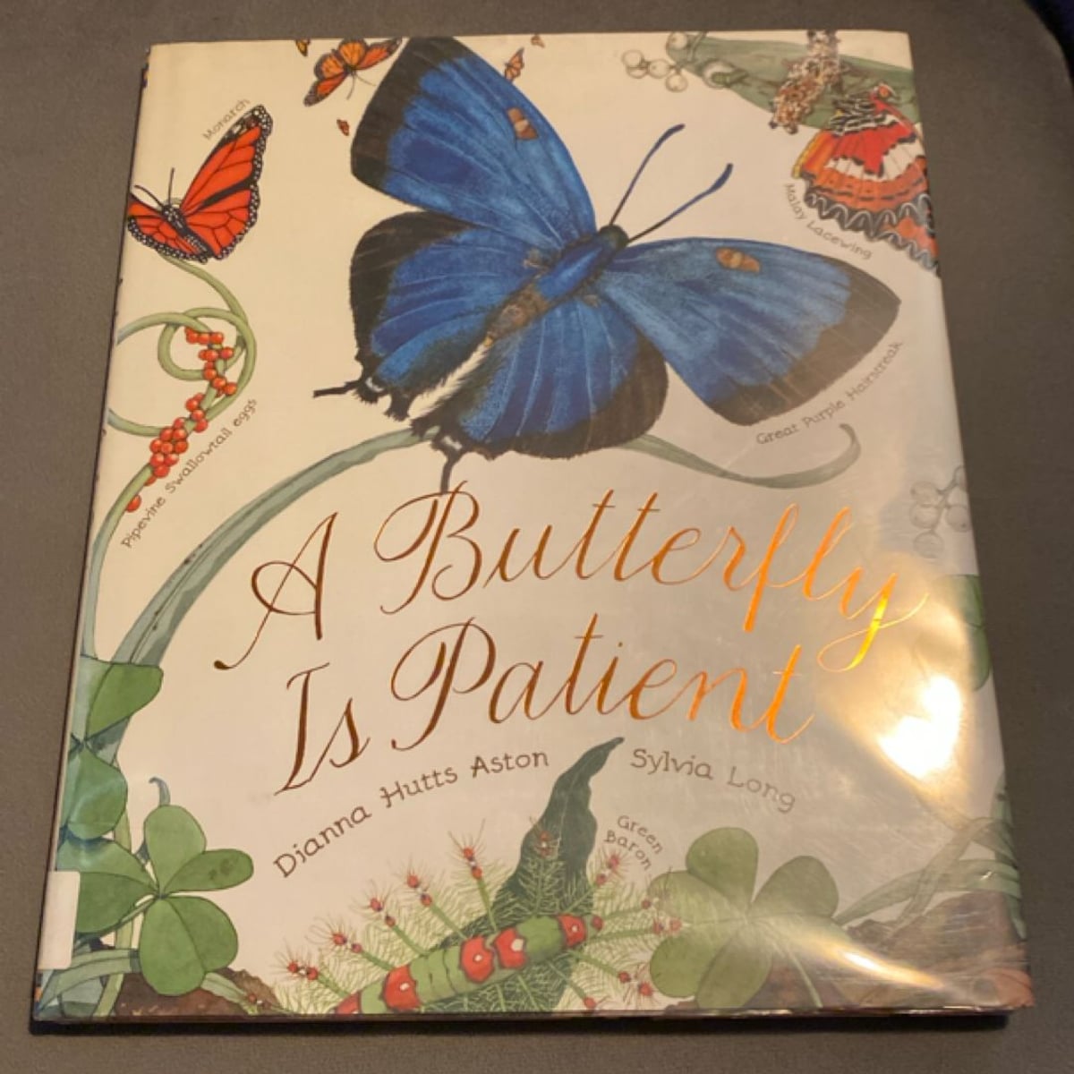 A Butterfly Is Patient by Dianna Hutts Aston