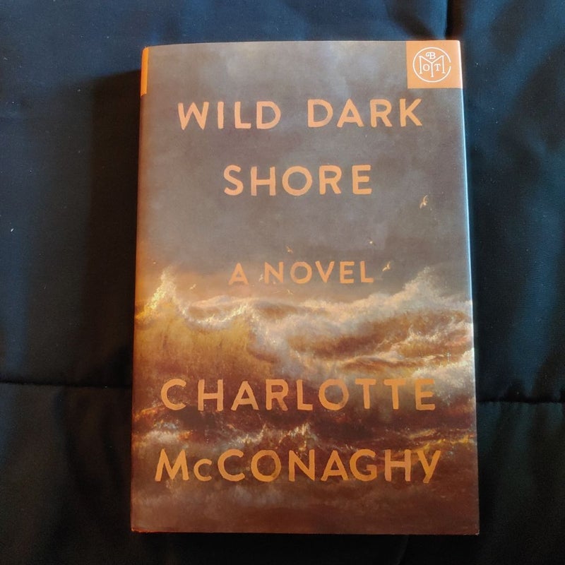 Wild Dark Shore
