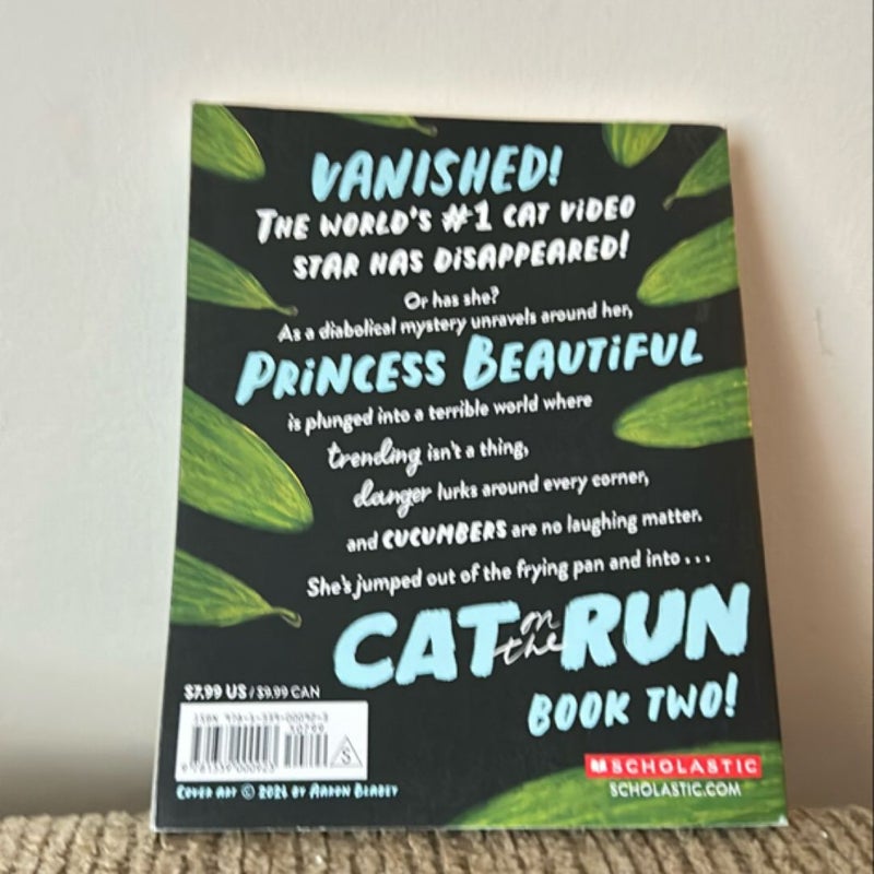 Cat on the Run in Cucumber Madness! (Cat on the Run #2)