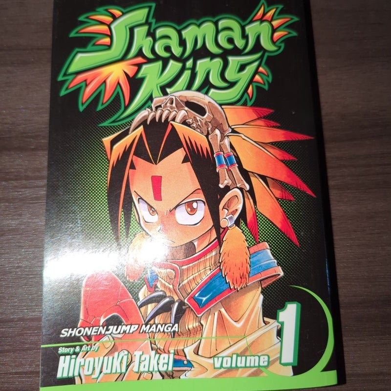 Shaman King, Vol. 1