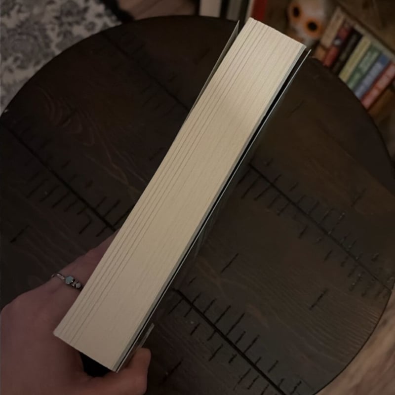 A Heart So Fierce and Broken