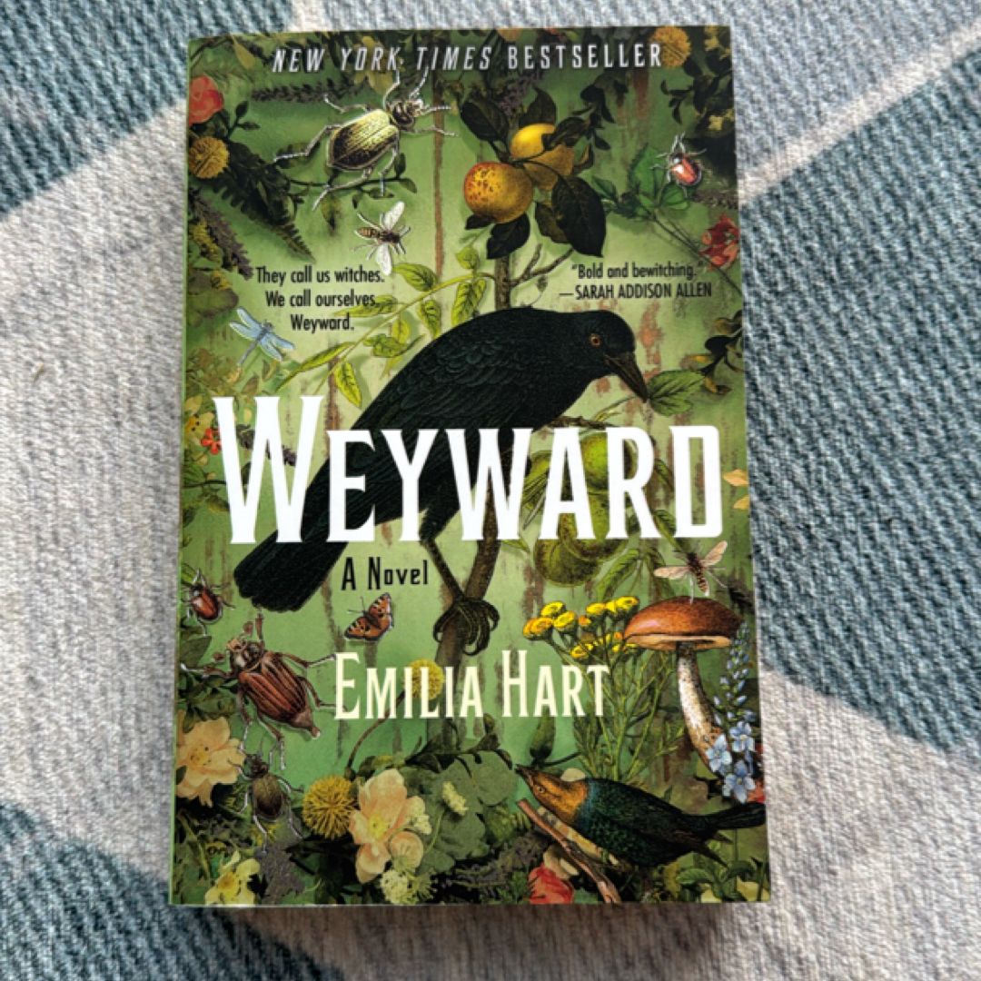 Sale image for 97fd53df-b911-46a5-a203-9c092524f026-atvs682dd8cUlsZkiIUZioaBdfj2