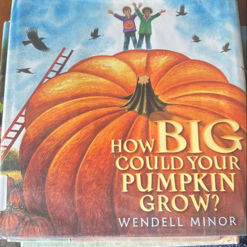 How Big Could Your Pumpkin Grow?