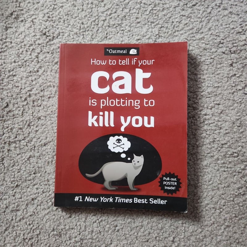 How to Tell If Your Cat Is Plotting to Kill You