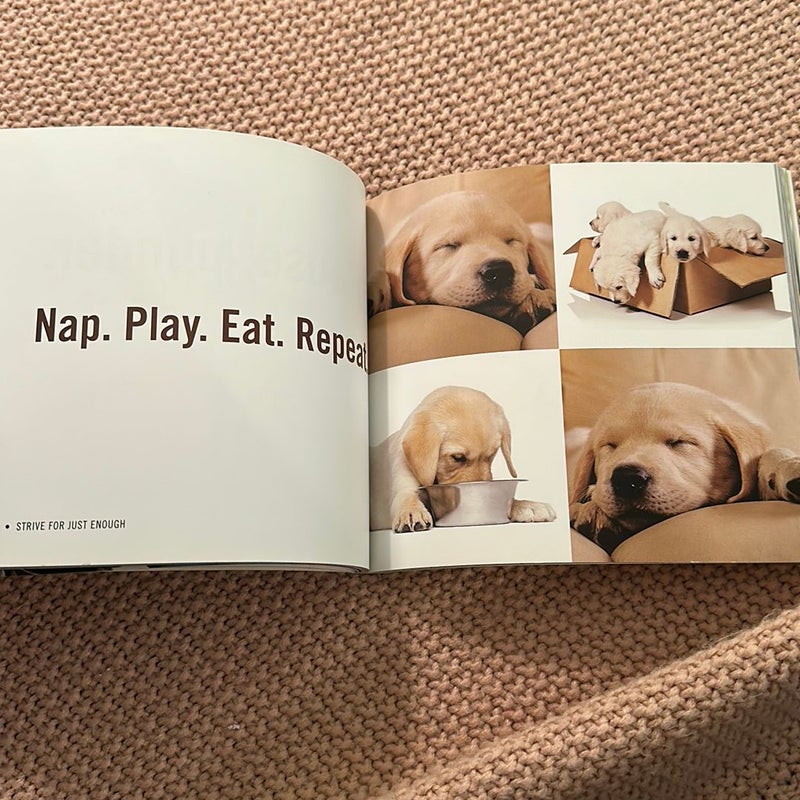 Really Important Stuff My Dog Has Taught Me