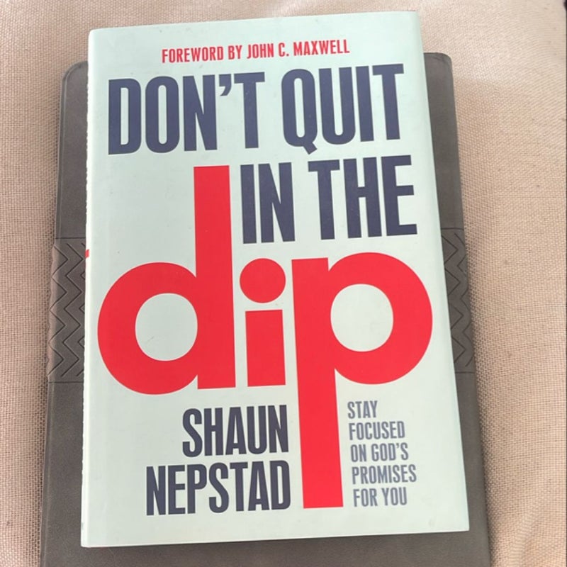 Don't Quit in the Dip