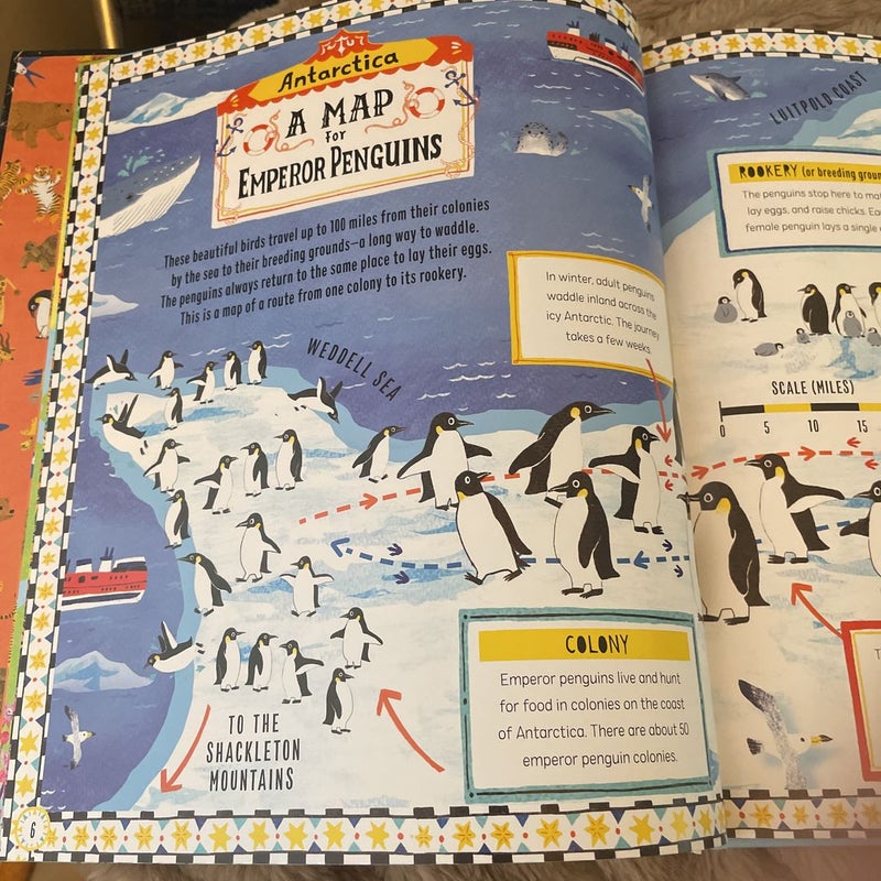 Maps for Penguins