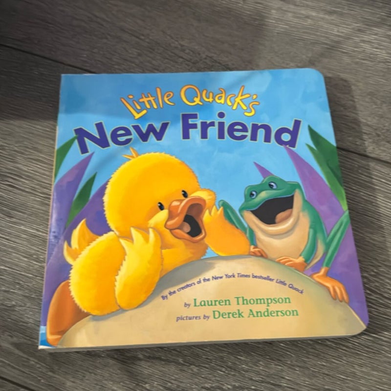Little Quack’s New Friend