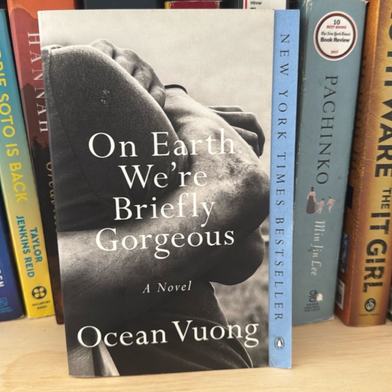 On Earth We're Briefly Gorgeous