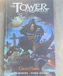 The Tower Chronicles Book One: Geisthawk
