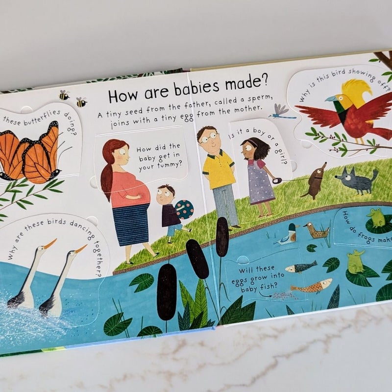 Lift-The-Flap First Questions and Answers Where Do Babies Come From?