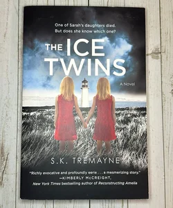 The Ice Twins