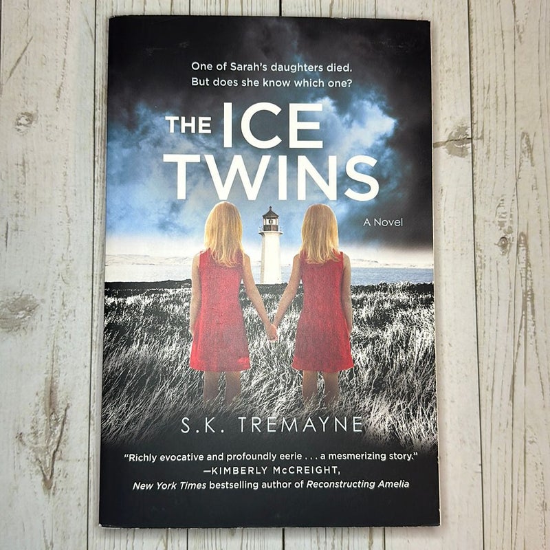 The Ice Twins