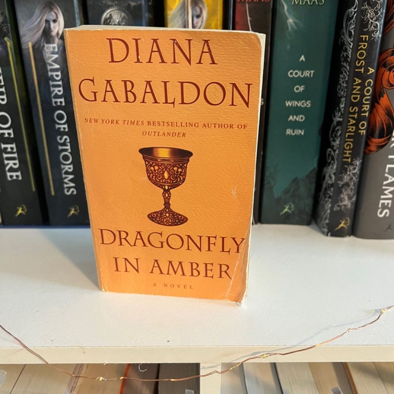 Dragonfly in Amber