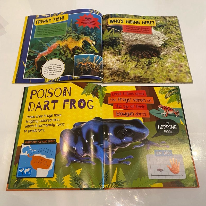 Kids' Large Animal Books Bundle