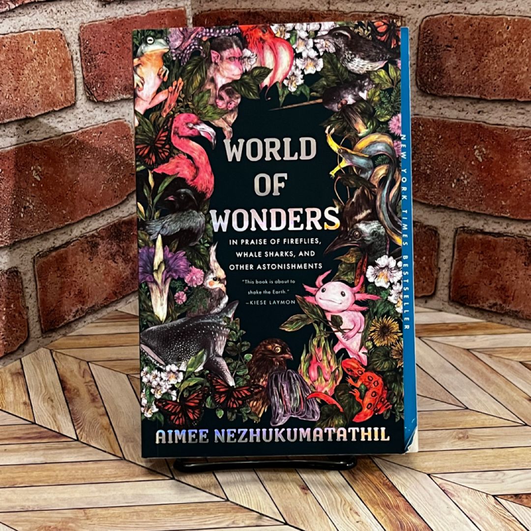 World of Wonders