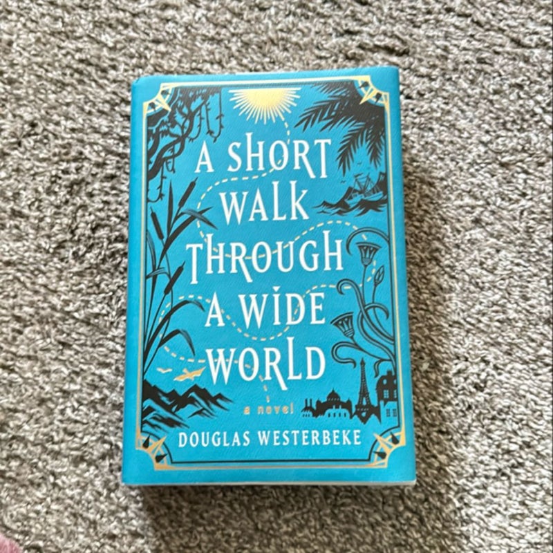 A Short Walk Through a Wide World