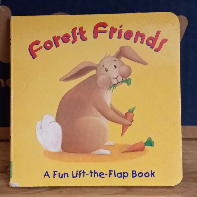 Forest Friends A Fun Lift the flap book