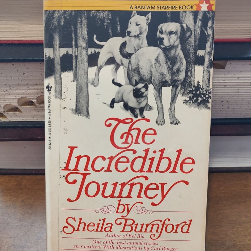 The incredible journey 