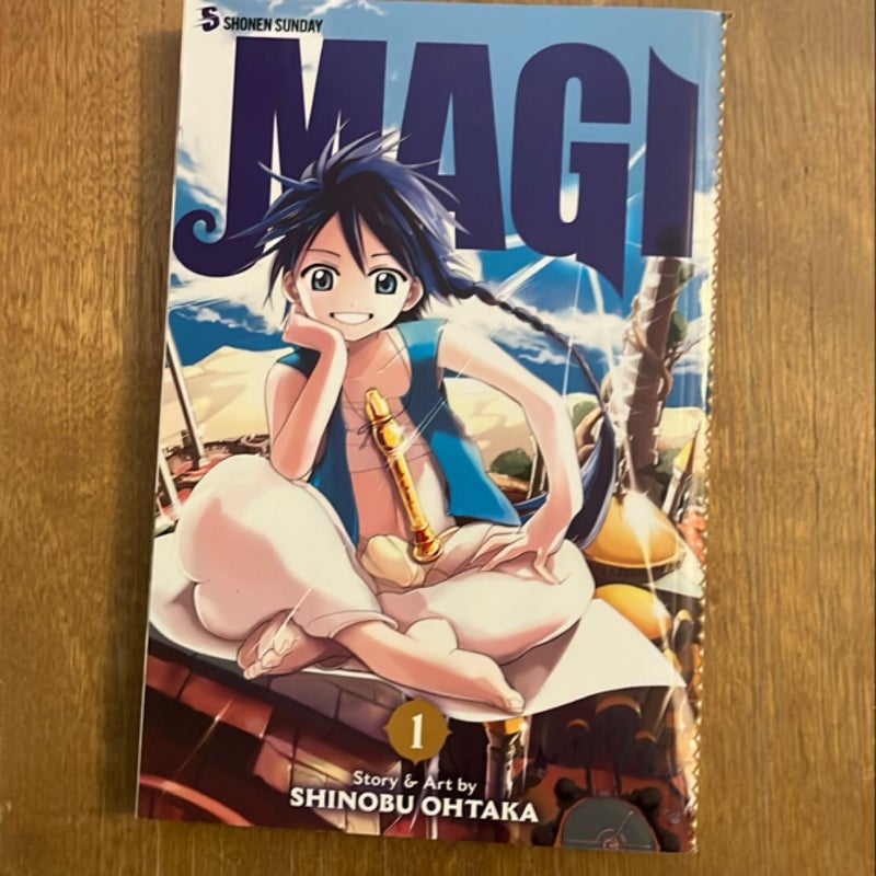 Magi: the Labyrinth of Magic, Vol. 1