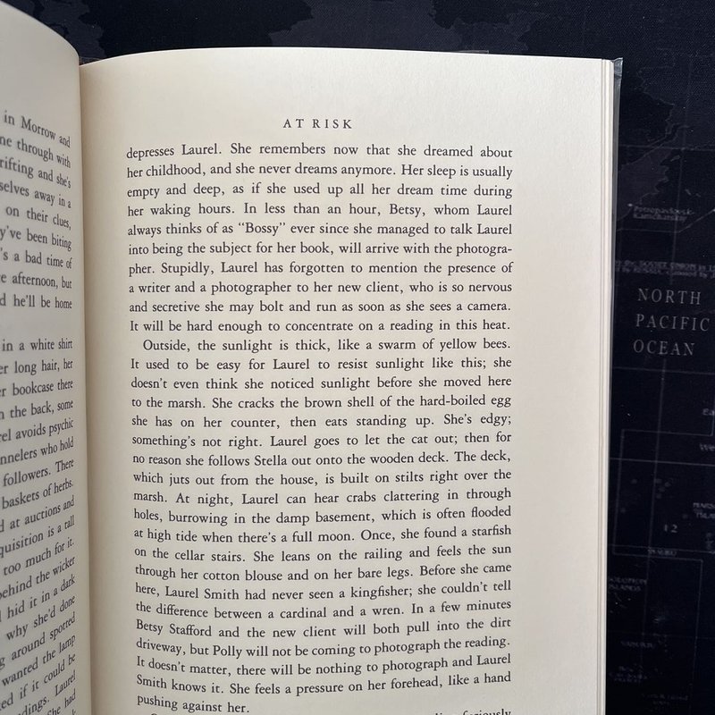 At Risk by Alice Hoffman, Hardcover | Pangobooks