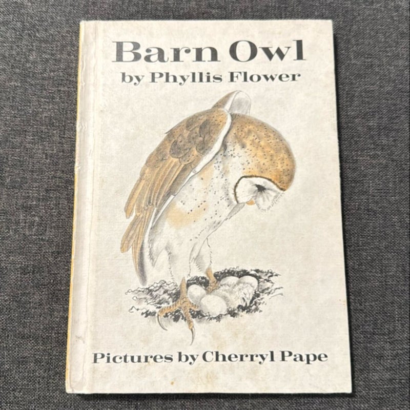 Vintage Barn Owl