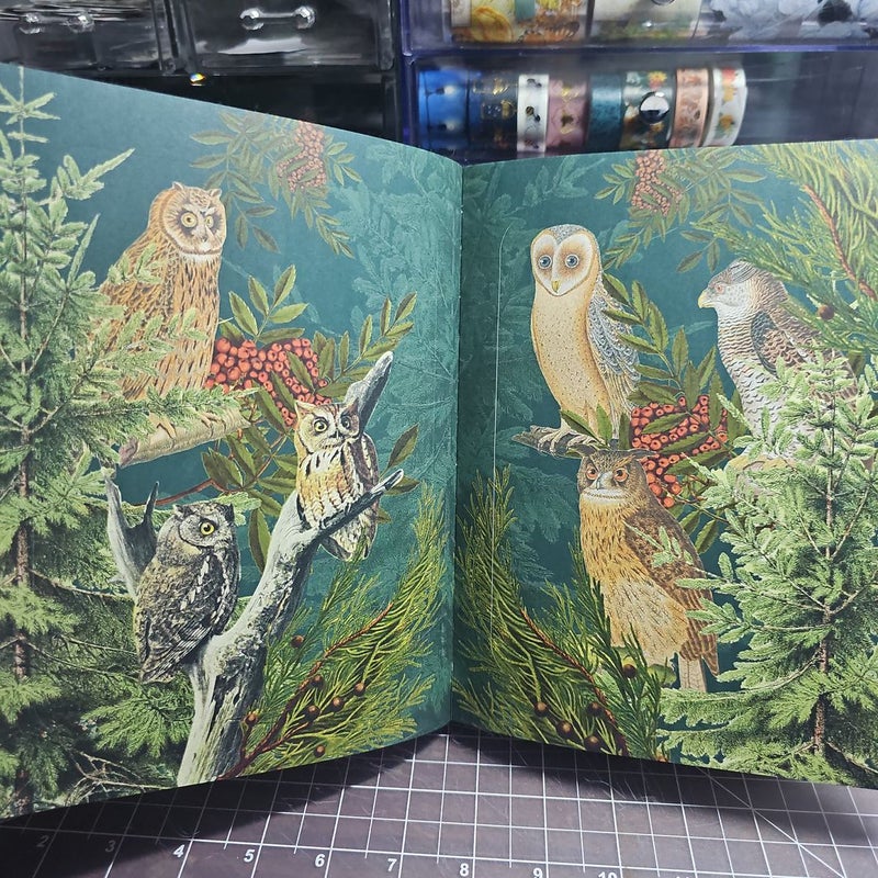 The Bees, Birds and Butterflies Sticker Anthology