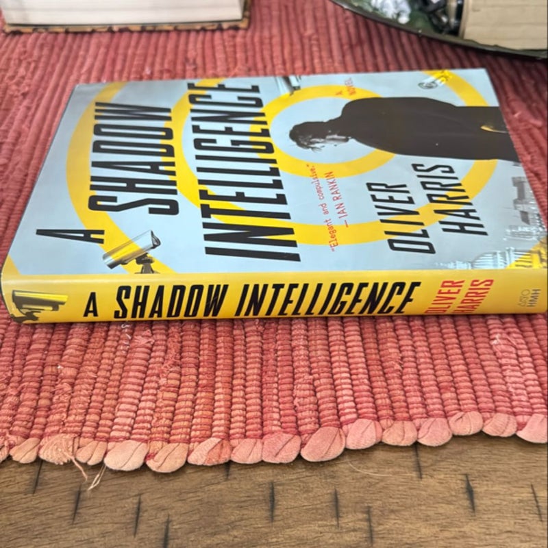 A Shadow Intelligence