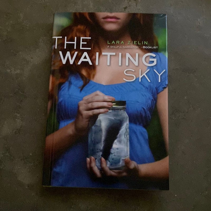 The Waiting Sky