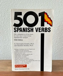 501 Spanish Verbs