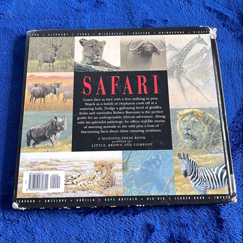 Safari