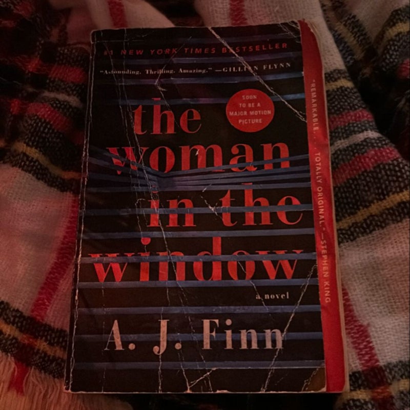 The Woman in the Window