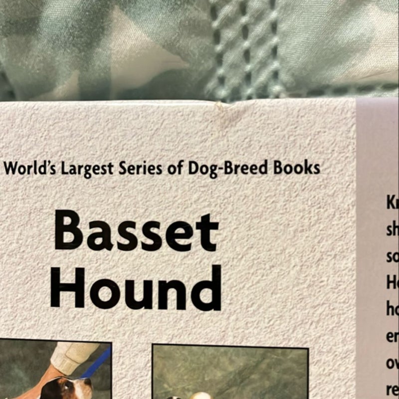 Basset Hound