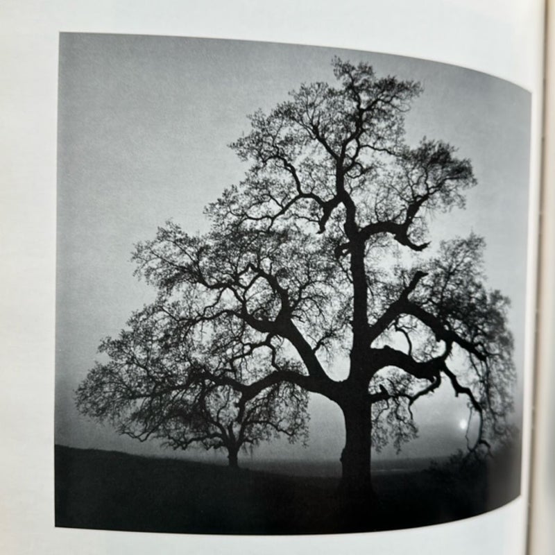 The Portfolios of Ansel Adams