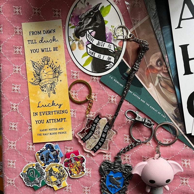 Harry Potter merch bundle