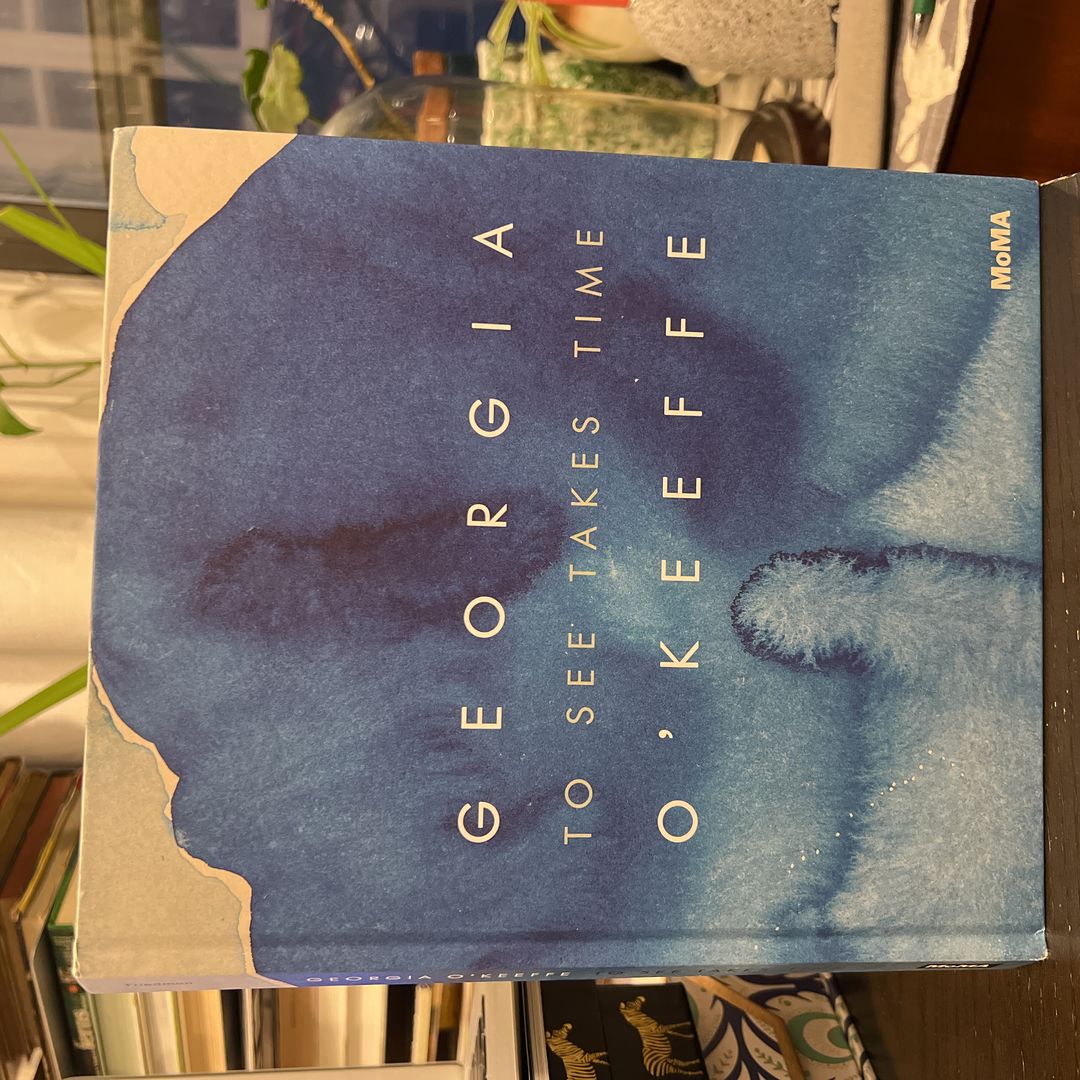 Georgia o'Keeffe: to See Takes Time