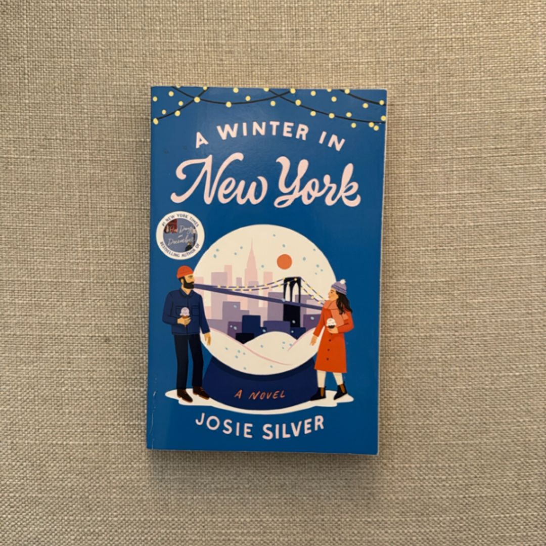 A Winter in New York