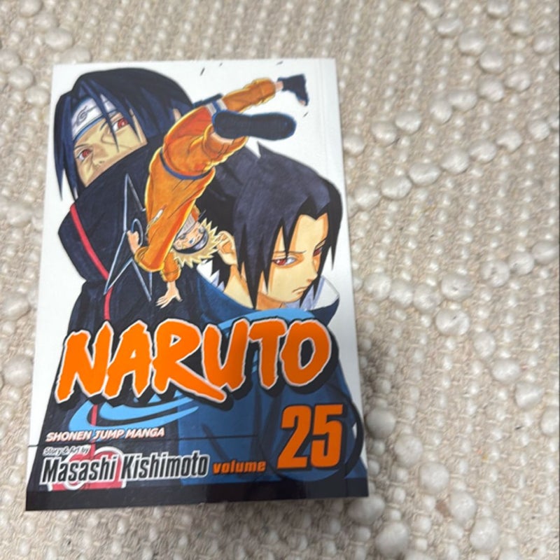 Naruto, Vol. 25