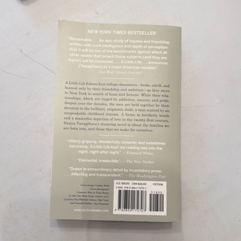 A Little Life
