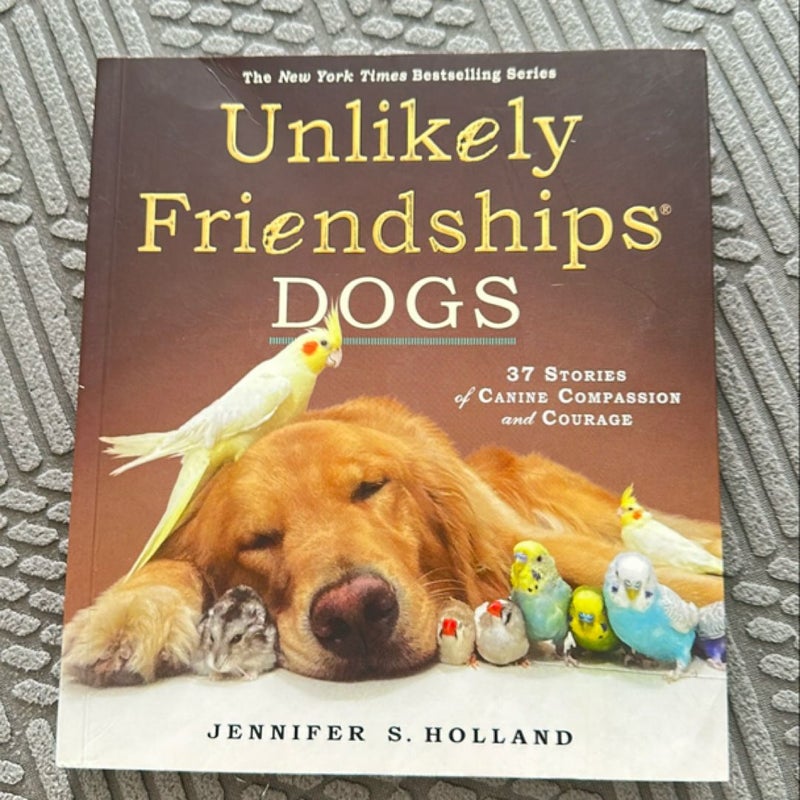 Unlikely Friendships: Dogs