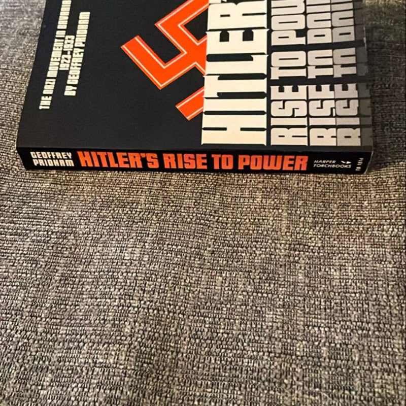 Hitler’s Rise to Power