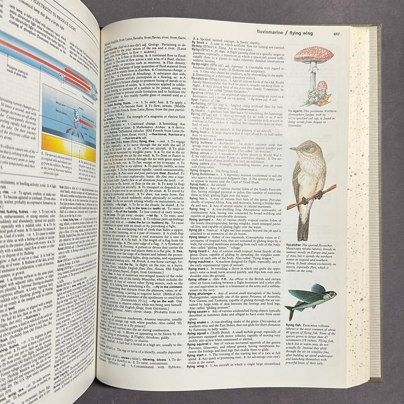 Reader's Digest Illustrated Encyclopedic Dictionary
